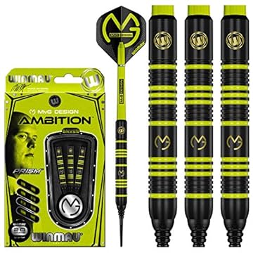 darts michael van gerwen