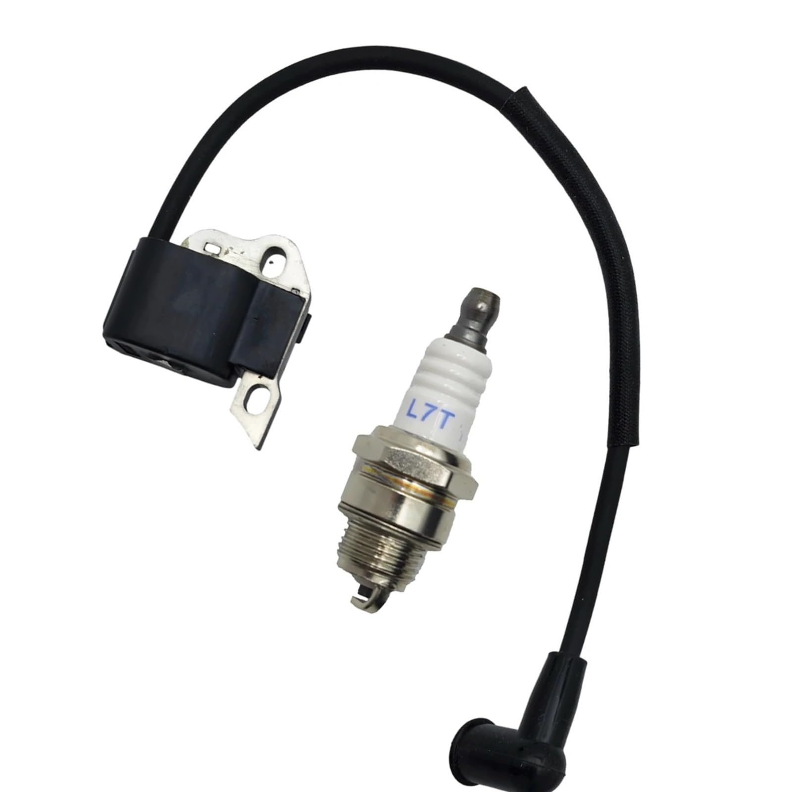 Bobine d'allumage pour entretenir le jardin avec le souffleur BR420