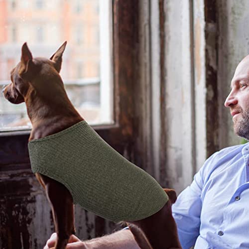 Hjumarayan Hundepullover Kleine Hunde - Hundeshirt Dünn Hunde Pullover Sonnenschutz Tshirt Elastisch Hundepulli Gestreifte Shirt Pullis für Chihuahua Yorkshire Terrier (Grün XXS)