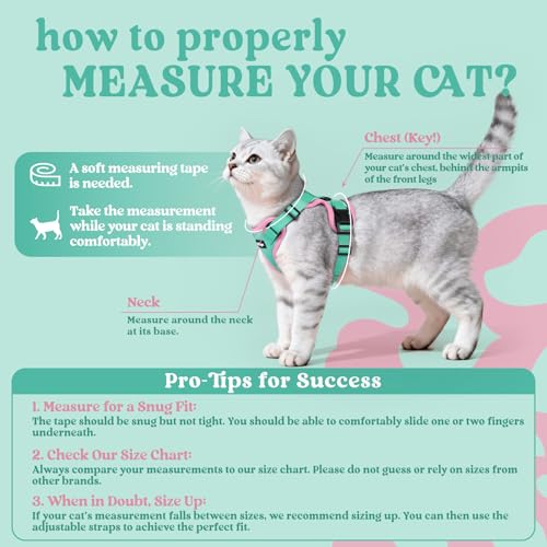 Image of rabbitgoo Cat Harness and Leash Set, Escape Proof Vest, Green & Pink | Soft Breathable Mesh, Easy Adjustable Fit, Snap Buckles, Sturdy Clip, Reflective Strips, for Kittens & Small Cats Walks, Xxs