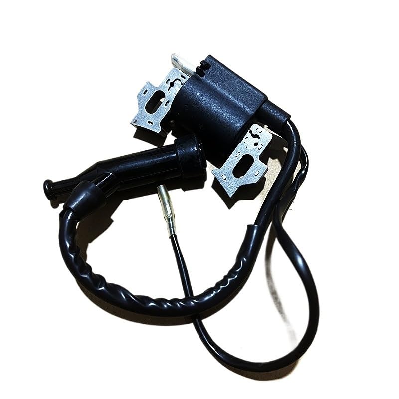 Potencia de Bobina Encendido Modelo 10K RPM Compatible con Motor Gasolina Carreras Kart Rendimiento 163CC 196CC 212CC 224 263