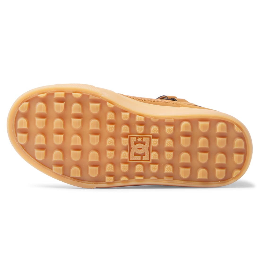 DC Shoes Pure High-top Wnt Ev Sneaker