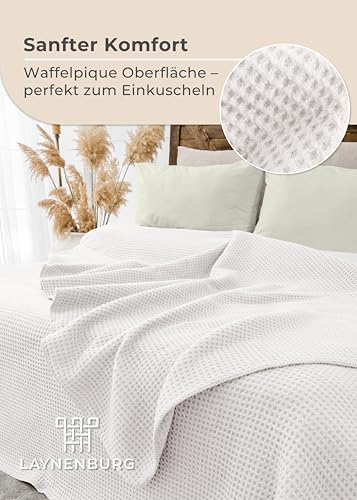 LAYNENBURG Premium Waffelpique Baumwolldecke 150x200 cm - Oeko-TEX 100 - Baumwollmix Kuscheldecke - Decke als Wohndecke, Sofa-Decke & Couchdecke - Wolldecke kuschelig-warm aus Baumwolle (Creme)