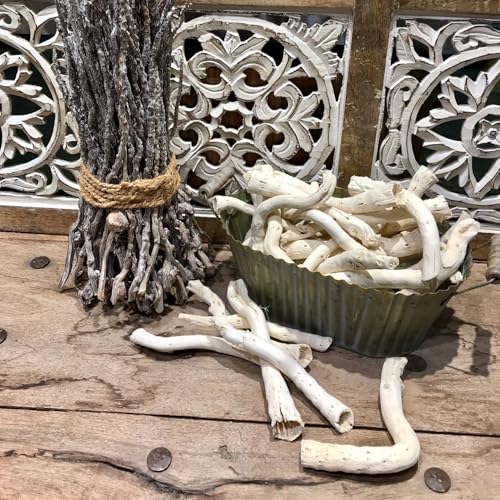 Bolsa de 300 gramos de conos secos naturales blanqueados al sol miniatura 6