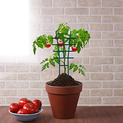 Nedyet 2 stuks tuinplanten steunkooien, klimrek outdoor plantenframe stand groeihulp voor tuin klimplanten bloemen… - Afbeelding 8