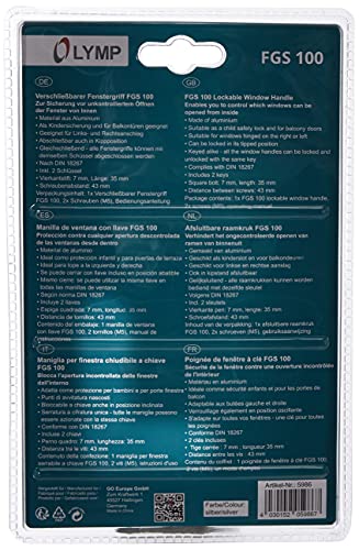 Olympia FGS 100 Tecnologia di Sicurezza, Argento