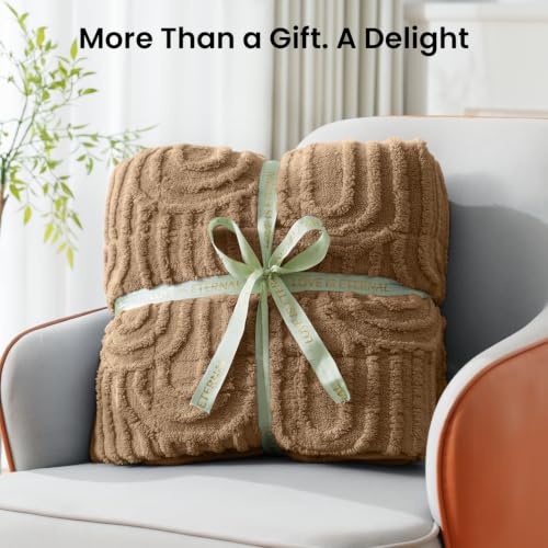 Image of Drewin Queen Size 15lbs Weighted Blanket for Adults, Brown Soft Cozy Turtleback Sherpa Weighted Blankets for Sleeping and Calming, Thick Bed Blanket for Couch Bed, 48 x 72 inches
