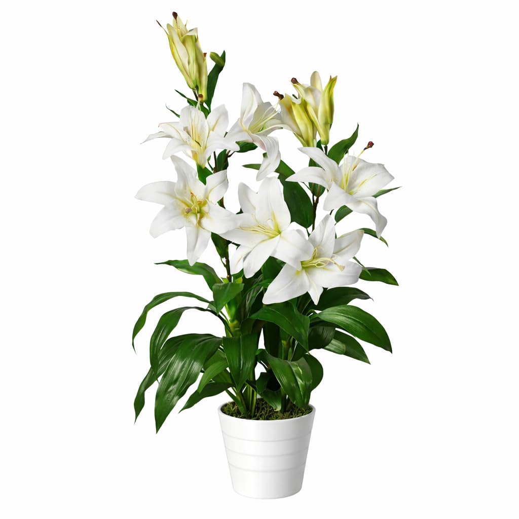 Leaf Large Artificial Stargazer Style Lily Plant, White, 90cm
