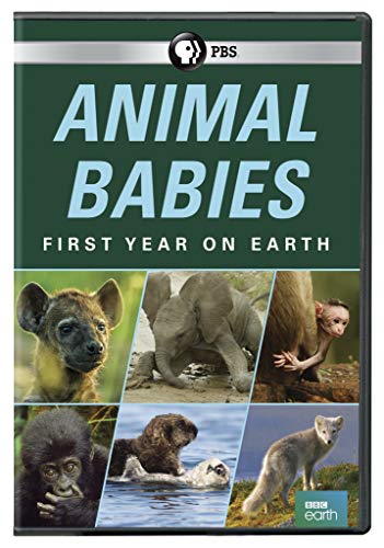 Animal Babies: First Year On Earth - //coolthings.us