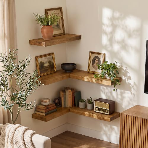 Image of Fun Memories 16 inch Wall Mounted Floating Shelves, Natural Elm Wood, 2 Pack