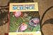 Teaching Children Science: A Discovery Approach (6th Edition)