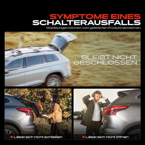 Frankberg Heckklappengriff 2-Polig Kompatibel mit A4 8W2 8WC 1.4L 2.0L 3.0L 2015-2022 Octavia III 5E3 NL3 NR3 1.2L-2.0L 2012-2022 Replace# 3V0827566