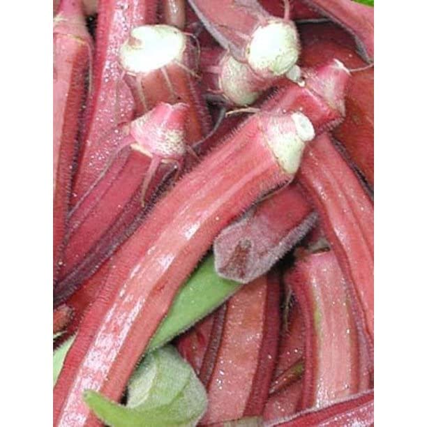 MYLAWN Okra RED Burgundy Great Heirloom Vegetable Seeds-R2H-80Seeds