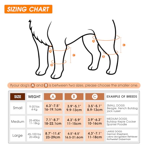 Image of Dog Knee Brace,Adjustable Dogs Rear Leg Braces for ACL with Cruciate Ligament Injury,Reduces Joint Pain and Muscle Sore Inflammation. (S)