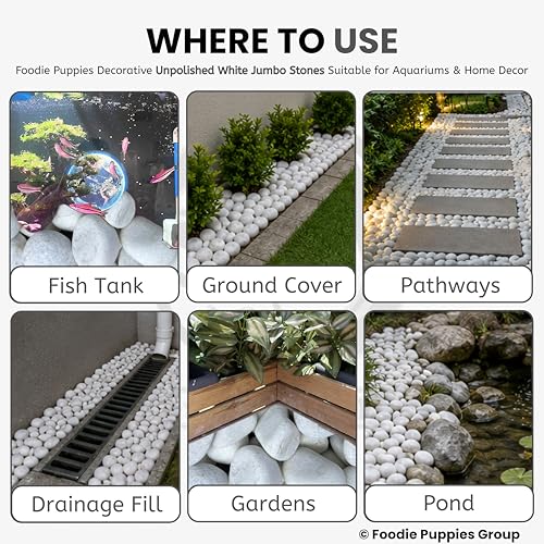 Image of Foodie Puppies Unpolished White Decorative Stones (5Kg, Jumbo Extra Large) (8cm - 12cm) for Garden Landscaping, Swimming Pools, Fish Tanks, Home Decor, Indoor & Outdoor Decorative Pebbles