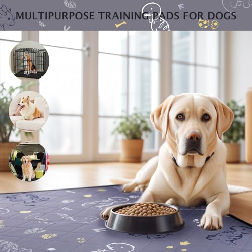 Image of IEUUMLER Washable Pee Pads for Dogs, 2 Pack Non-Slip & Waterproof Pack Whelping Pad, Reusable Washable Puppy Potty Training Pad with Fast Absorbent for Playpen EU007 (Gray Dinosaur, 24 inchX18 inch-2pcs)