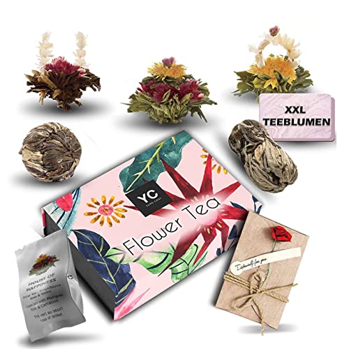 Yang Chai Tee Geschenkset Frauen, Exotischer Erblüh Teeblumen Mix "Symbiosis" mit aufblühender Teerose, schwarzer und grüner Tee Sorten Mix, 6 verschiedene Tee-Blüten in schöner Geschenkbox Cover