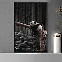 Framed Canvas Wall Art Panda Animals Bear Expressive Living Room Multicolor Photography Tropical - 16x24 inches