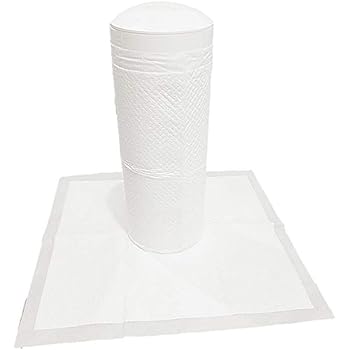 small female dog collars