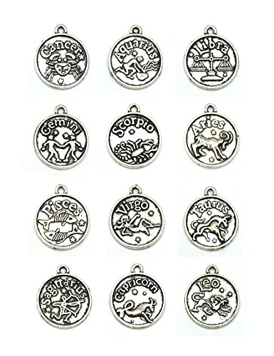JIALEEY Round Zodiac Sign Charms 12 Constellation Pendants Beads DIY for Necklace Bracelet Jewelry Making and Crafting, 12 PCS Antique Tibetan Silver