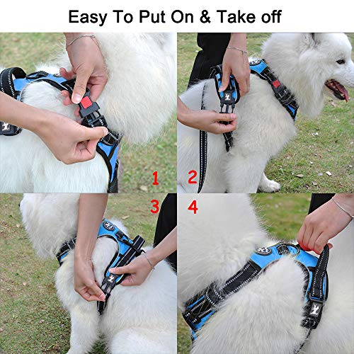 Image of PoyPet Dog Harness No Pull, Reflective Adjustable No Choke Pet Vest with Front & Back Clips, Soft Padded and Control Training Handle for Large Dogs(Blue,XL)