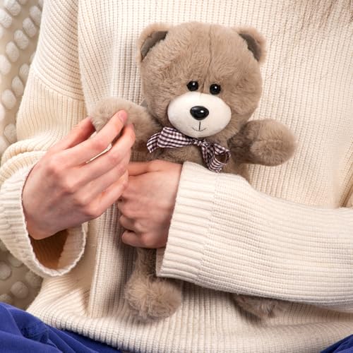 FANCY Plüschtier Teddybär Braun 21 cm Teddy Kuscheltier Bär Plüsch Stofftier Süß Plush lustige Geschenk für Kinder und Erwachsene, Mädchen und Jungen