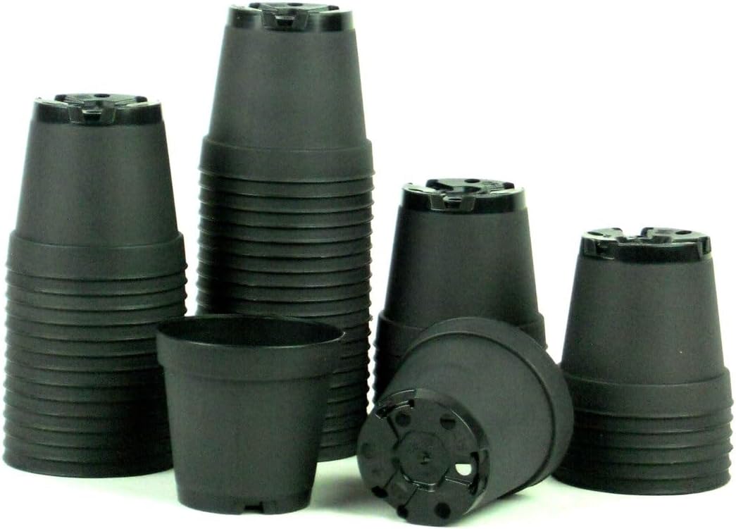 2 Inch TEKU Black Plastic Pot Set (50 Pack)