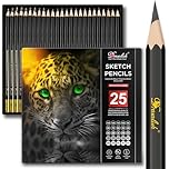 Drawlish Drawing Pencils for Artists - 25 Grades (14B to 10H) Sketching Pencils Set Covering All Grades - Graphite Pencil with Prime Wood - Art Pencil Ideal for Illustrations, Shading & more