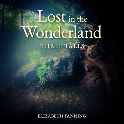 Lost in the Wonderland Audiolivro Por Elizabeth Fanning capa