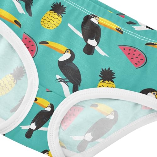 ZZKKO Toucan Watermelon Pineapple Girls Underwear Toddler Panties for Girls Comfort Brief Size 2T-8Y4