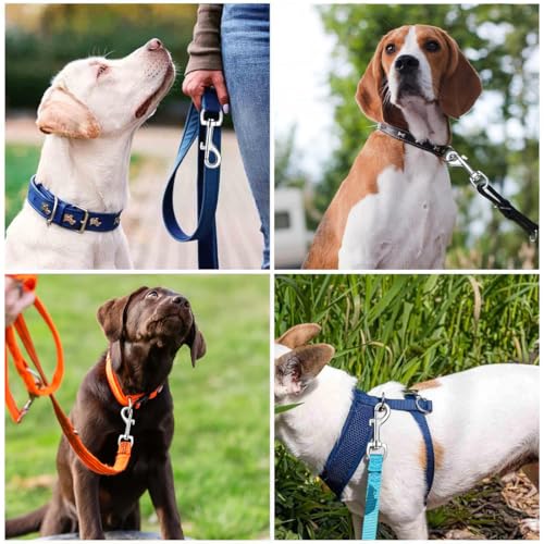 CATOR 2 Stück Karabiner für Hundeleine, Wirbelkarabiner aus Edelstahl mit D-Form und Silberfarbe, Twist Lock für Hunde-Leine, Schlüsselbunde und Haustierzubehör