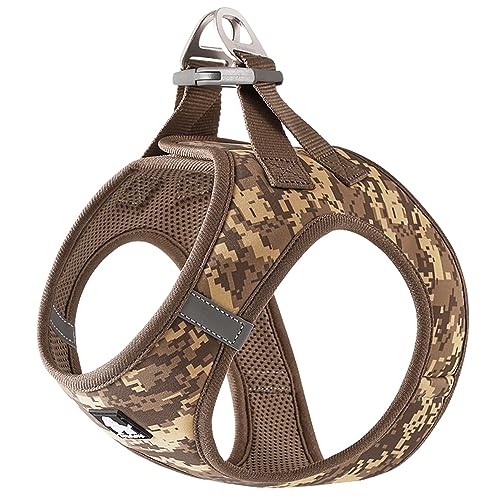 J&C Paradise  n[lX {KX y ʋC bV lC ȒP q L e TRUELOVE (L, uE)