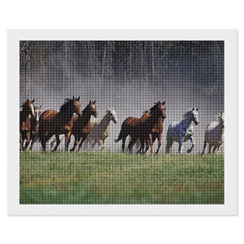 쐶̑Ăn5D_ChA[g Lbg DIY_ChG Q[ NXXeb`Lbg lC Aj r[YA[gSʓ\t^Cv h} l r[Y_ChhJ |Lbg 16"x20"