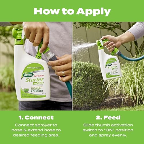 Grass Seed Blends For Overseeding Existing Turf
