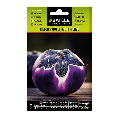 Semillas Batlle Berenjena Violetta di Firenze