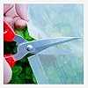 Insectengaas, Net Voor Planten, Groenten, Groentenet Tuin, Bloemen Beschermingsnet, Insectenbeschermingsnet, Fijnmazig, Bescherming Tegen Ongedierte, Fruittuin