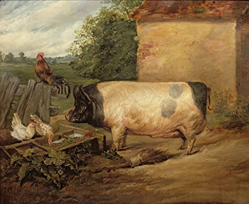 Affiche de peinture de porc d'Essex par Edwin Landseer 60x90cm