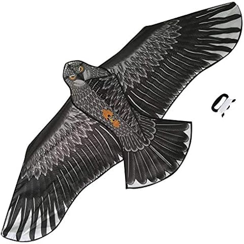 Sun Kites Large Eagle Bird Kite Cover