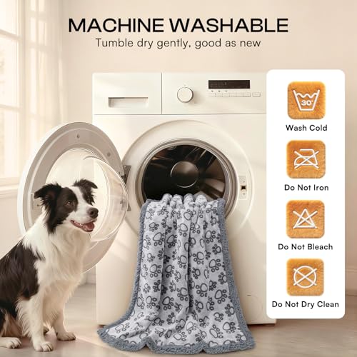 Image of Luciphia Waterproof Pet Blankets for Couch Sofa Bed Cover Liquid Pee Proof Washable Soft Fluffy Large Dog Blanket Reversible Furniture Protection Paw Grey Small(40 inch x 28 inch)