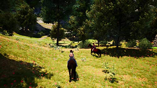 Whisper: Ari, La cavalière intrépide pour PS4