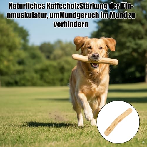JcvPot 4 Kaffeeholz Für Hunde, Natürliches Kauholz Für Welpen Und Erwachsene Hunde, Kauspielzeug Zur Zahnreinigung Und Stressabbau, 14cm Länge, 1.8-2cm Durchmesser