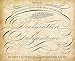 Spencerian Penmanship Practice Book: The Declaration of Independence: Example Sentences with Workbook Pages