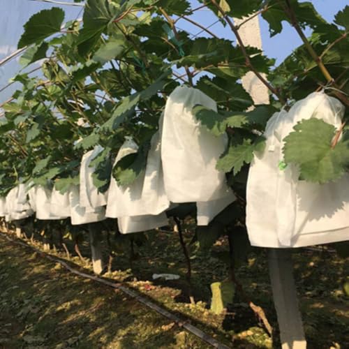 Bolsas de cultivo para viveros en jardín que mejoran el desarrollo y crecimiento rápido 3