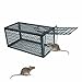 SCHOME 1 Door Humane Animal Live Cage,Rat Cage Trap for Rat, Mice, Mouse and More Small Rodents 240X115X115MM