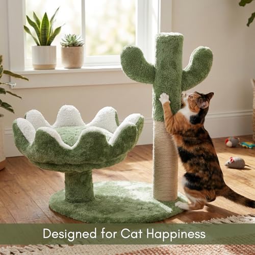 Image of FURRLOVERS Cactus Cat Tree with Scratching Post, Green, 20 Inch Height, Plush Bed, Rope, 16x19 Inch Base (003-CACTUS) (Green)