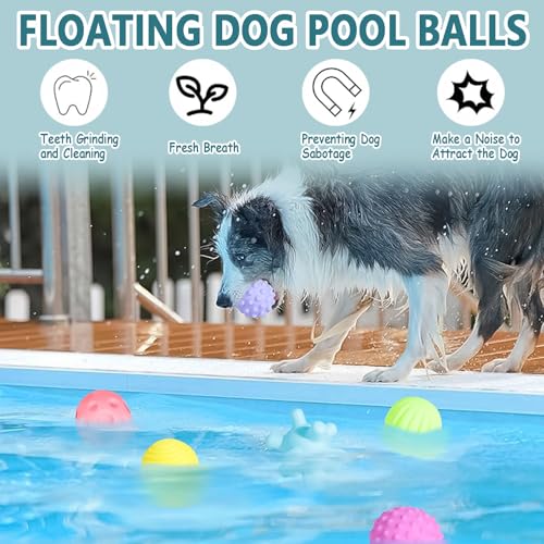 Favuit Hundeball Unzerstörbar, 6 Stück Hundespielzeug Ball Set Quietschend Dauerhaftes Jagdbälle Hunde Spielzeugbälle Schwimmfähig für Aggressive Kauer Kleine und Mittelgroße Hunde