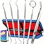 6 Pack Dental Tools With Case - Blue