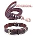 SLZZ Prämie Echtes Leder Hundehalsband /weich Dauerhaft Schwere Echtes Leder Hundehalsband für Rüde Weiblich Kleine X-Kleine Mittlere Große X-Große Hunde