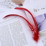 Las plumas para manualidades son muy adecuadas para proyectos de manualidades, pendientes, collares, colgantes, decoraciones de festivales, ropa y sombreros, fondos, manteles, tarjetas de mesa, interesantes palitos para gatos, etc., pueden realizar diversas tareas de manualidades.