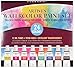 Studio Series Artist's Watercolor Paint Set (24 colors)